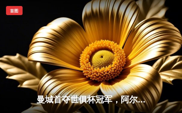 曼城首夺世俱杯冠军，阿尔瓦雷斯闪耀决赛